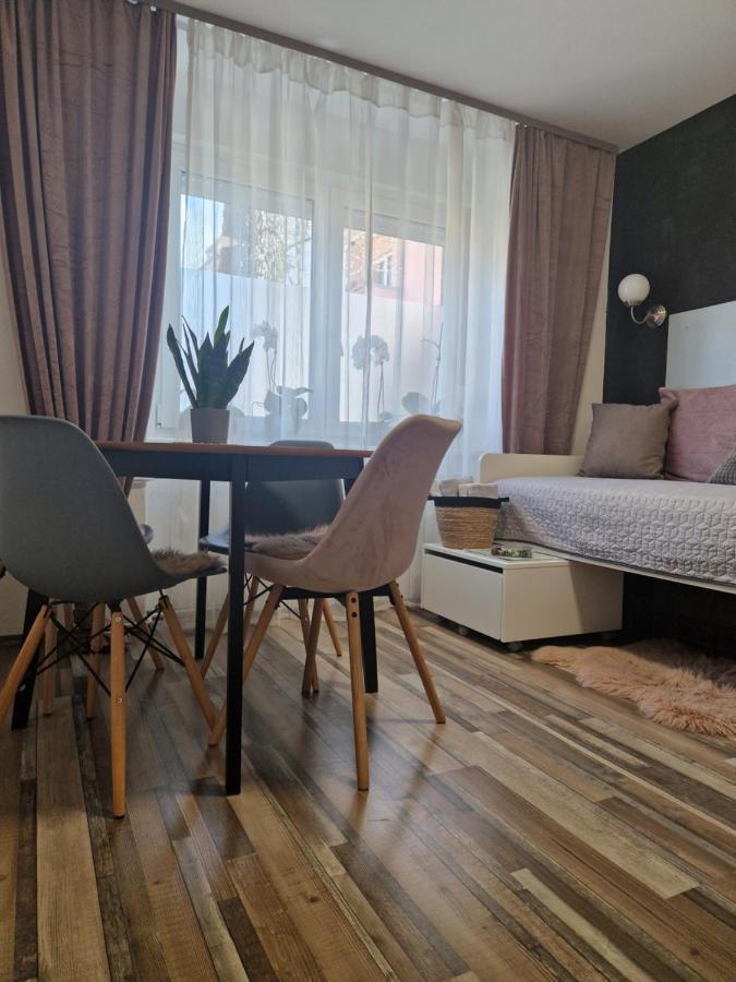 Friz&Fany Postojna City Center Buitenkant foto